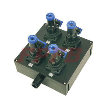 BXX8050-Explosion proof corrosion proof socket box (IIC、DIP)