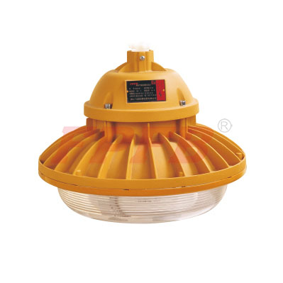 FAD86-Free maintenance and energy saving water-proof dust-proof anti-corrosion lamp